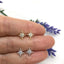 North Star Celestial Stud Earring