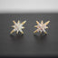 North Star Celestial Stud Earring