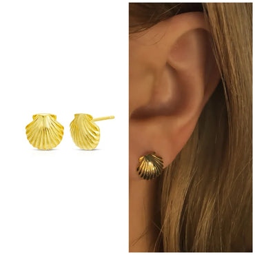 Sea Scallop Seashell Clam Earrings