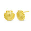 Sea Scallop Seashell Clam Earrings